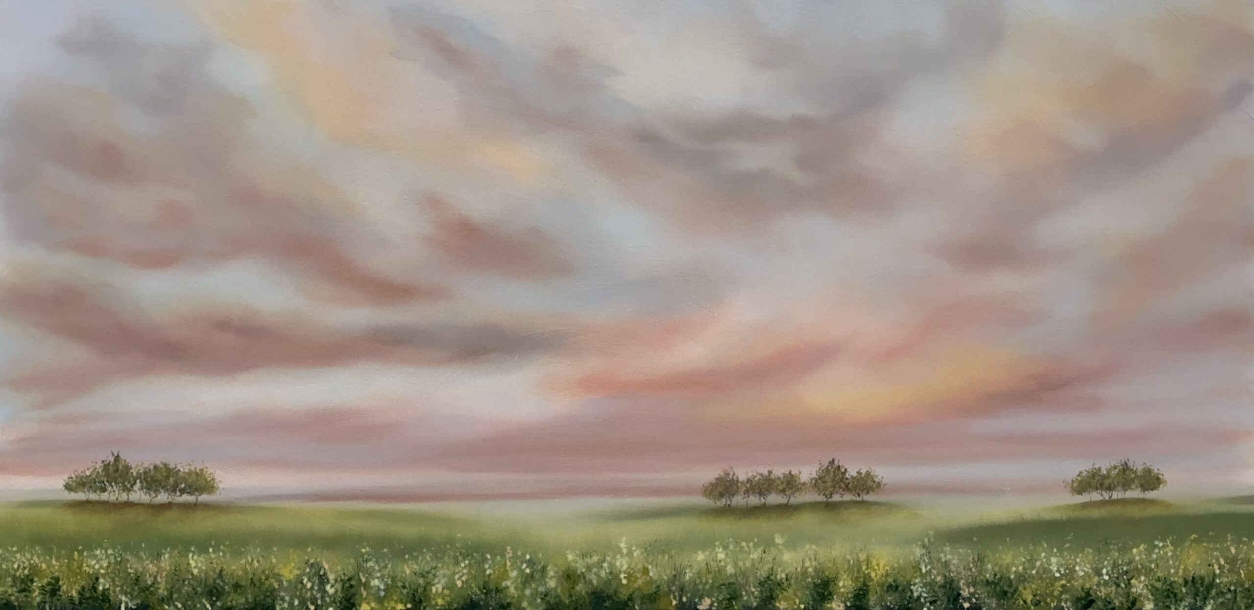 field of dreams