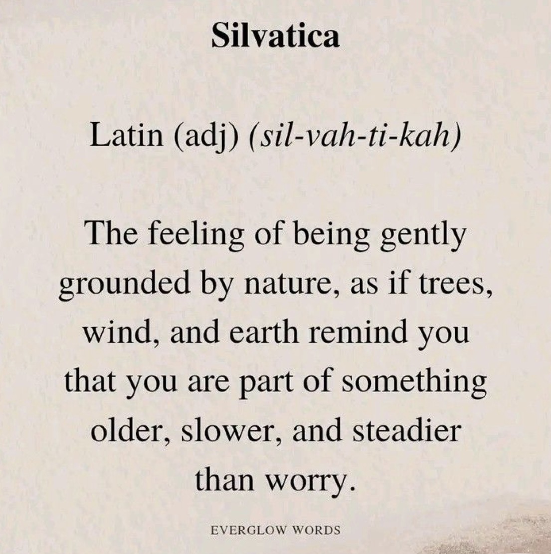 silvatica