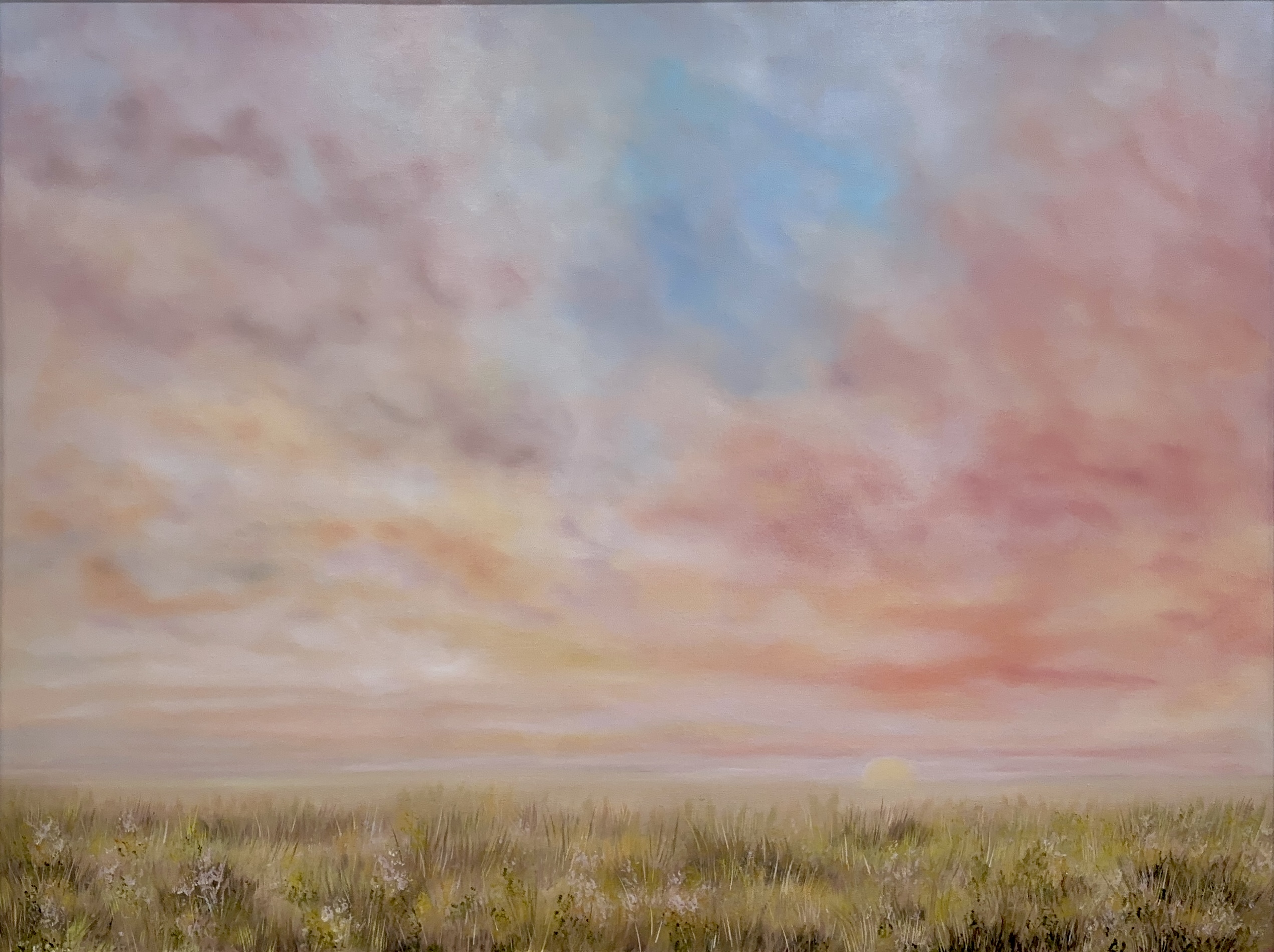 oriana fields