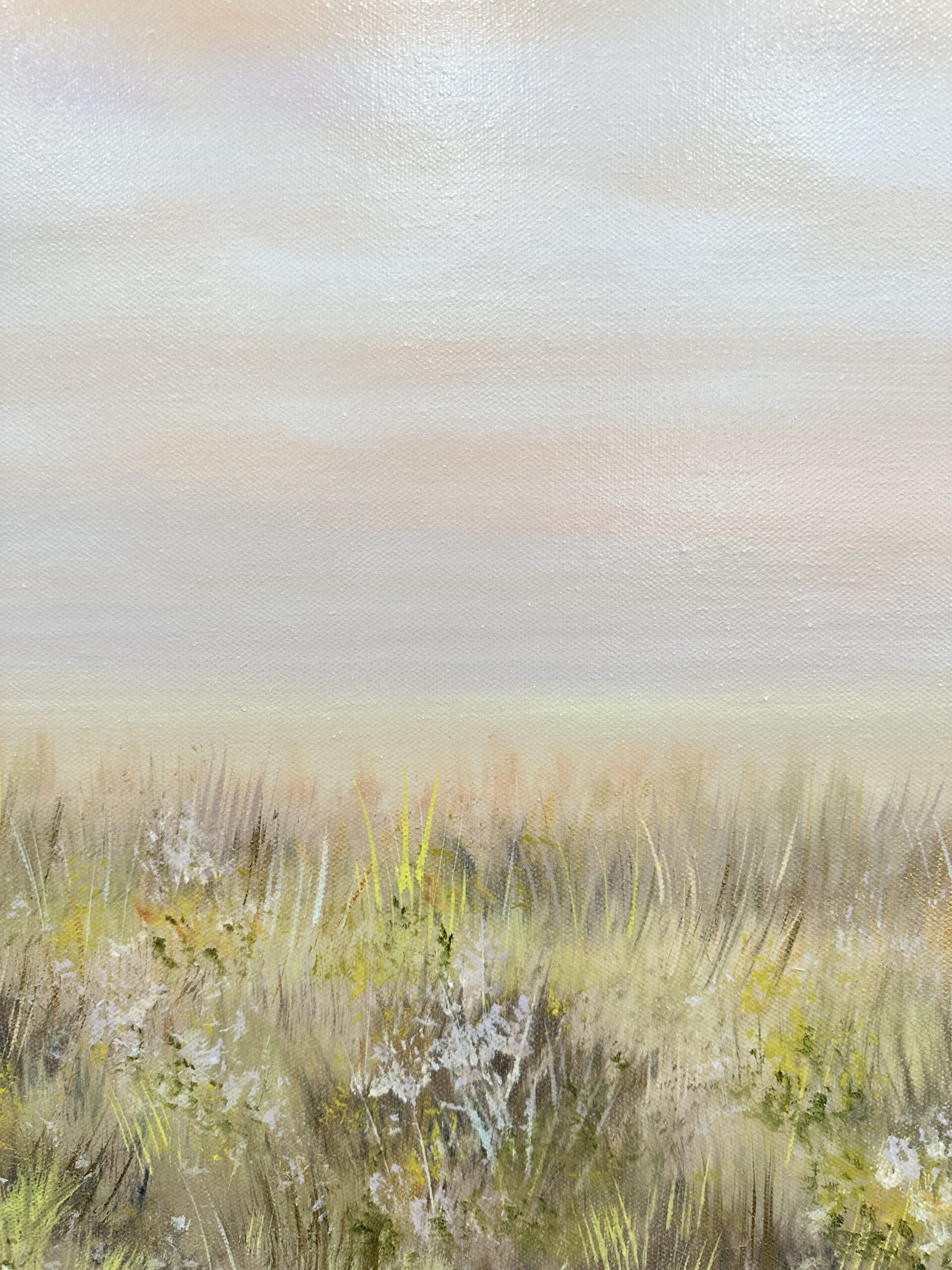 oriana fields